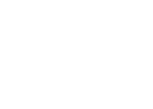 Ochrona Orzeł
